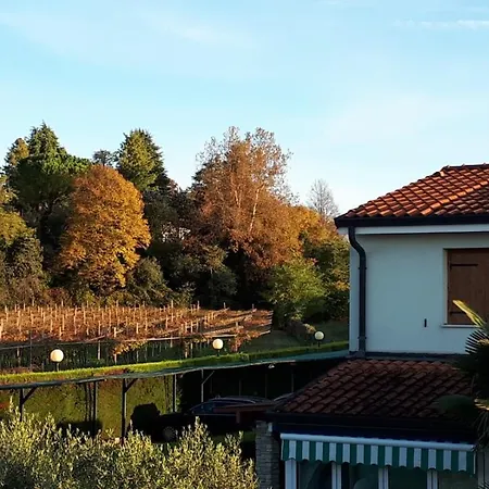 Apartment Apart Dina - Wifi, Klima Und Pool Option *